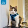 imageBest Pet Supplies  All Weather Mesh Reflective No Pull Harness for Small Medium Dogs Cats  Secure with Hook ampamp Loop Fastener Buckle Double DRings  Blue Trim MHarness Blue Trim
