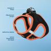 imageBest Pet Supplies  All Weather Mesh Reflective No Pull Harness for Small Medium Dogs Cats  Secure with Hook ampamp Loop Fastener Buckle Double DRings  Blue Trim MHarness Orange Trim