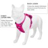 imageVoyager Freestyle 4in1 Dog Harness  Patent Pending Adjustable Webbing Harness with Removable Padding for Small to Large Dogs by Best Pet Supplies  Fuchsia SFuchsia