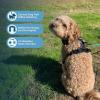 imageVoyager No Pull Dog Harness for Medium Dogs Dual Leash Attachments Adjustable Soft but Strong Pet Harness with 3M Reflective Technology Fuchsia Nylon M Chest 2025quotHarness Black Nylon