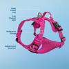 imageVoyager No Pull Dog Harness for Medium Dogs Dual Leash Attachments Adjustable Soft but Strong Pet Harness with 3M Reflective Technology Fuchsia Nylon M Chest 2025quotHarness Fuchsia Nylon