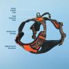 imageVoyager No Pull Dog Harness for Medium Dogs Dual Leash Attachments Adjustable Soft but Strong Pet Harness with 3M Reflective Technology Fuchsia Nylon M Chest 2025quotHarness Orange Nylon