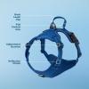 imageVoyager No Pull Dog Harness for Medium Dogs Dual Leash Attachments Adjustable Soft but Strong Pet Harness with 3M Reflective Technology Fuchsia Nylon M Chest 2025quotHarness Royal Blue Lattice Nylon