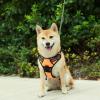 imageVoyager No Pull Dog Harness for Medium Dogs Dual Leash Attachments Adjustable Soft but Strong Pet Harness with 3M Reflective Technology Fuchsia Nylon M Chest 2025quotHarness Orange Nylon
