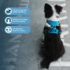 imageVoyager No Pull Dog Harness for Medium Dogs Dual Leash Attachments Adjustable Soft but Strong Pet Harness with 3M Reflective Technology Fuchsia Nylon M Chest 2025quotHarness Turquoise Nylon