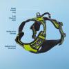 imageVoyager No Pull Dog Harness for Medium Dogs Dual Leash Attachments Adjustable Soft but Strong Pet Harness with 3M Reflective Technology Fuchsia Nylon M Chest 2025quotHarness Lime Green Nylon