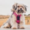 imageVoyager No Pull Dog Harness for Medium Dogs Dual Leash Attachments Adjustable Soft but Strong Pet Harness with 3M Reflective Technology Fuchsia Nylon M Chest 2025quotFuchsia Nylon