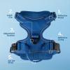 imageVoyager No Pull Dog Harness for Medium Dogs Dual Leash Attachments Adjustable Soft but Strong Pet Harness with 3M Reflective Technology Fuchsia Nylon M Chest 2025quotHarness Royal Blue Lattice Nylon