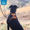 imageVoyager No Pull Dog Harness for Medium Dogs Dual Leash Attachments Adjustable Soft but Strong Pet Harness with 3M Reflective Technology Fuchsia Nylon M Chest 2025quotHarness Orange Nylon