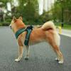 imageVoyager StepIn Air Dog Harness  All Weather Mesh Reflective No Pull Harness for Small Medium Dogs Cats  Secure with Hook ampamp Loop Fastener Buckle Double DRings  RedBlack Trim LHarness Turquoise 2Tone