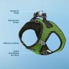 imageVoyager StepIn Air Dog Harness  All Weather Mesh Reflective No Pull Harness for Small Medium Dogs Cats  Secure with Hook ampamp Loop Fastener Buckle Double DRings  RedBlack Trim LHarness Lime Green 2Tone