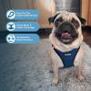 imageVoyager StepIn Air Dog Harness  All Weather Mesh Reflective No Pull Harness for Small Medium Dogs Cats  Secure with Hook ampamp Loop Fastener Buckle Double DRings  RedBlack Trim LHarness BlueBlack Trim