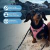 imageVoyager StepIn Air Dog Harness  All Weather Mesh Reflective No Pull Harness for Small Medium Dogs Cats  Secure with Hook ampamp Loop Fastener Buckle Double DRings  RedBlack Trim LHarness PinkBlack Trim