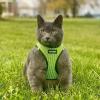 imageVoyager StepIn Air Dog Harness  All Weather Mesh Reflective No Pull Harness for Small Medium Dogs Cats  Secure with Hook ampamp Loop Fastener Buckle Double DRings  RedBlack Trim LHarness Lime Green 2Tone