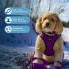 imageVoyager StepIn Air Dog Harness  All Weather Mesh Reflective No Pull Harness for Small Medium Dogs Cats  Secure with Hook ampamp Loop Fastener Buckle Double DRings  RedBlack Trim LHarness PurpleBlack Trim