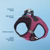 imageVoyager StepIn Air Dog Harness  All Weather Mesh Reflective No Pull Harness for Small Medium Dogs Cats  Secure with Hook ampamp Loop Fastener Buckle Double DRings  RedBlack Trim LHarness Fuchsia 2Tone