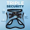 imageVoyager StepIn Air Dog Harness  All Weather Mesh Reflective No Pull Harness for Small Medium Dogs Cats  Secure with Hook ampamp Loop Fastener Buckle Double DRings  RedBlack Trim LHarness Baby BlueBlack Trim