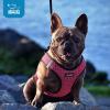 imageVoyager StepIn Air Dog Harness  All Weather Mesh Reflective No Pull Harness for Small Medium Dogs Cats  Secure with Hook ampamp Loop Fastener Buckle Double DRings  RedBlack Trim LHarness BlackPink Trim