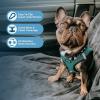 imageVoyager StepIn Air Dog Harness  All Weather Mesh Reflective No Pull Harness for Small Medium Dogs Cats  Secure with Hook ampamp Loop Fastener Buckle Double DRings  RedBlack Trim LHarness Turquoise 2Tone