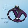 imageVoyager StepIn Air Dog Harness  All Weather Mesh Reflective No Pull Harness for Small Medium Dogs Cats  Secure with Hook ampamp Loop Fastener Buckle Double DRings  RedBlack Trim LHarness PurpleBlack Trim