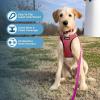 imageVoyager StepIn Air Dog Harness  All Weather Mesh Reflective No Pull Harness for Small Medium Dogs Cats  Secure with Hook ampamp Loop Fastener Buckle Double DRings  RedBlack Trim LHarness Fuchsia 2Tone