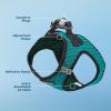 imageVoyager StepIn Air Dog Harness  All Weather Mesh Reflective No Pull Harness for Small Medium Dogs Cats  Secure with Hook ampamp Loop Fastener Buckle Double DRings  RedBlack Trim LHarness Turquoise 2Tone