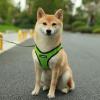 imageVoyager StepIn Air Dog Harness  All Weather Mesh Reflective No Pull Harness for Small Medium Dogs Cats  Secure with Hook ampamp Loop Fastener Buckle Double DRings  RedBlack Trim LHarness Lime Green 2Tone