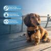 imageVoyager StepIn Air Dog Harness  All Weather Mesh Reflective No Pull Harness for Small Medium Dogs Cats  Secure with Hook ampamp Loop Fastener Buckle Double DRings  RedBlack Trim LHarness BlackBlack Trim
