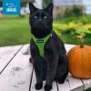 imageVoyager StepIn Air Dog Harness  All Weather Mesh Reflective No Pull Harness for Small Medium Dogs Cats  Secure with Hook ampamp Loop Fastener Buckle Double DRings  RedBlack Trim LHarness Lime Green 2Tone