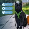 imageVoyager StepIn Air Dog Harness  All Weather Mesh Reflective No Pull Harness for Small Medium Dogs Cats  Secure with Hook ampamp Loop Fastener Buckle Double DRings  RedBlack Trim LHarness Lime Green 2Tone
