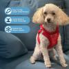 imageVoyager StepIn Plush Dog Harness  Soft Plush Step In Vest Harness for Small and Medium Dogs by Best Pet Supplies  Harness Turquoise Plush M Chest 16  18quotHarness Red Corduroy