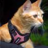 imageVoyager StepIn Plush Dog Harness  Soft Plush Step In Vest Harness for Small and Medium Dogs by Best Pet Supplies  Harness Turquoise Plush M Chest 16  18quotHarness Beige Plush