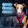 imageVoyager StepIn Plush Dog Harness  Soft Plush Step In Vest Harness for Small and Medium Dogs by Best Pet Supplies  Harness Turquoise Plush M Chest 16  18quotHarness Red Rose Plush