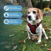 imageVoyager StepIn Plush Dog Harness  Soft Plush Step In Vest Harness for Small and Medium Dogs by Best Pet Supplies  Harness Turquoise Plush M Chest 16  18quotHarness Red Plush