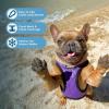 imageVoyager StepIn Plush Dog Harness  Soft Plush Step In Vest Harness for Small and Medium Dogs by Best Pet Supplies  Harness Turquoise Plush M Chest 16  18quotHarness Purple Faux Leather