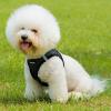 imageVoyager StepIn Plush Dog Harness  Soft Plush Step In Vest Harness for Small and Medium Dogs by Best Pet Supplies  Harness Turquoise Plush M Chest 16  18quotHarness Black Faux Leather