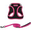 Leash Harness Set (Pink)