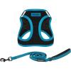 Leash Harness Set (Blue)