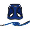 Leash Harness Set (Royal Blue Base)