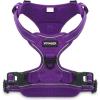 Harness (Purple Lattice Nylon)