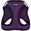 Harness (Purple/Black Trim)