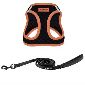 imageBest Pet Supplies  All Weather Mesh Reflective No Pull Harness for Small Medium Dogs Cats  Secure with Hook ampamp Loop Fastener Buckle Double DRings  Blue Trim MLeash Harness Set Orange