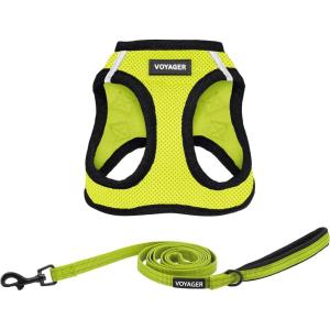imageBest Pet Supplies  All Weather Mesh Reflective No Pull Harness for Small Medium Dogs Cats  Secure with Hook ampamp Loop Fastener Buckle Double DRings  Blue Trim MLeash Harness Set Lime
