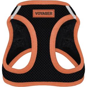 imageBest Pet Supplies  All Weather Mesh Reflective No Pull Harness for Small Medium Dogs Cats  Secure with Hook ampamp Loop Fastener Buckle Double DRings  Blue Trim MHarness Orange Trim