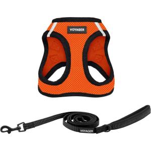 imageBest Pet Supplies  All Weather Mesh Reflective No Pull Harness for Small Medium Dogs Cats  Secure with Hook ampamp Loop Fastener Buckle Double DRings  Blue Trim MLeash Harness Set Orange Base