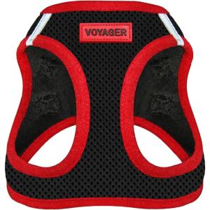 imageBest Pet Supplies  All Weather Mesh Reflective No Pull Harness for Small Medium Dogs Cats  Secure with Hook ampamp Loop Fastener Buckle Double DRings  Blue Trim MHarness Red Trim