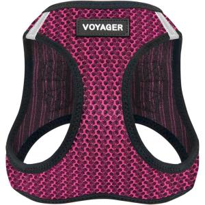 imageVoyager StepIn Air Dog Harness  All Weather Mesh Reflective No Pull Harness for Small Medium Dogs Cats  Secure with Hook ampamp Loop Fastener Buckle Double DRings  RedBlack Trim LHarness Fuchsia 2Tone