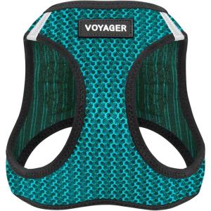 imageVoyager StepIn Air Dog Harness  All Weather Mesh Reflective No Pull Harness for Small Medium Dogs Cats  Secure with Hook ampamp Loop Fastener Buckle Double DRings  RedBlack Trim LHarness Turquoise 2Tone