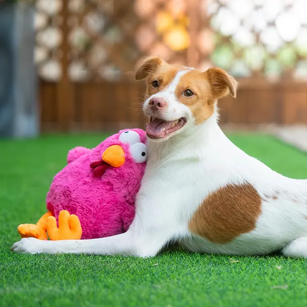 CRINKLE AND PLUSH TOYS