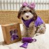 imageBest Pet Supplies Poop Bags for Dogs 50 PostConsumer Recycled Content dog waste bags on rolls fits all poop bag holders for leashes  150 Count Assorted Colors ScentedPurple Lavender Scented
